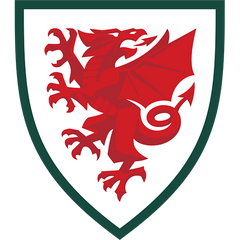 Wales National Team